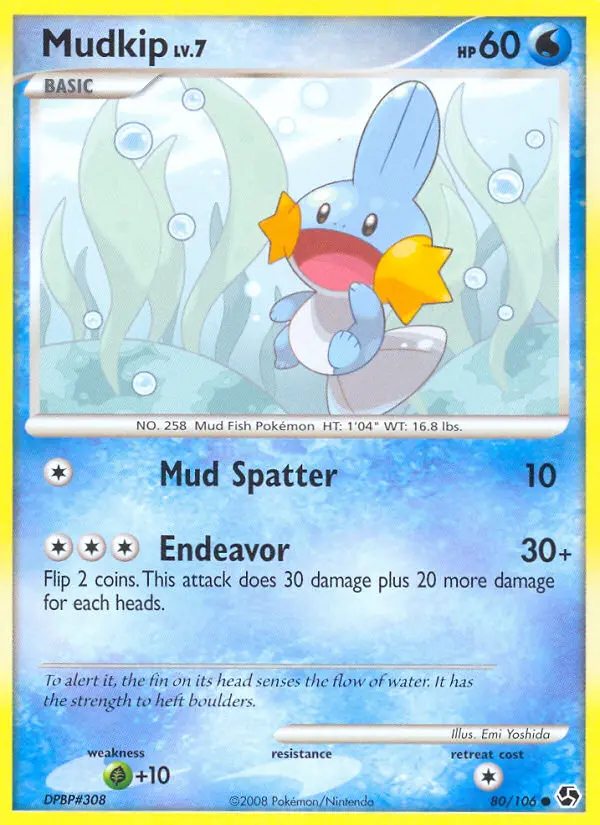 Card image of Mudkip