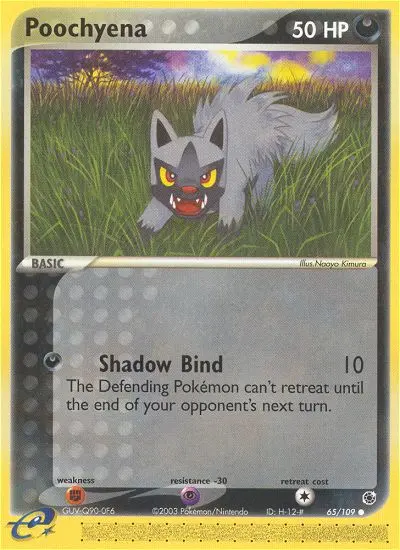 Card image of Poochyena