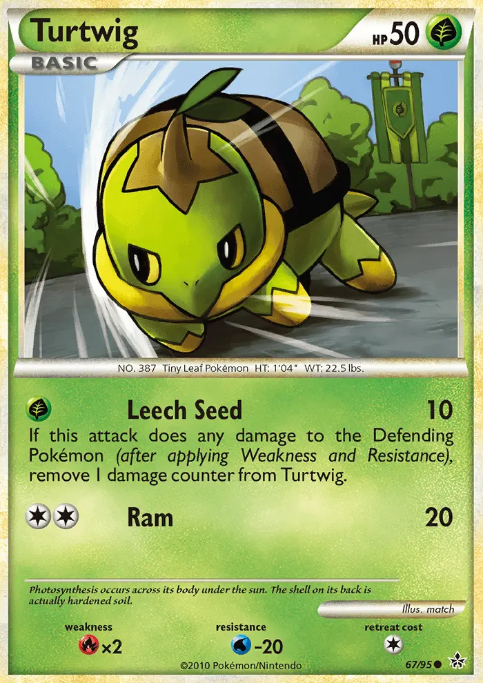 Card image of Turtwig