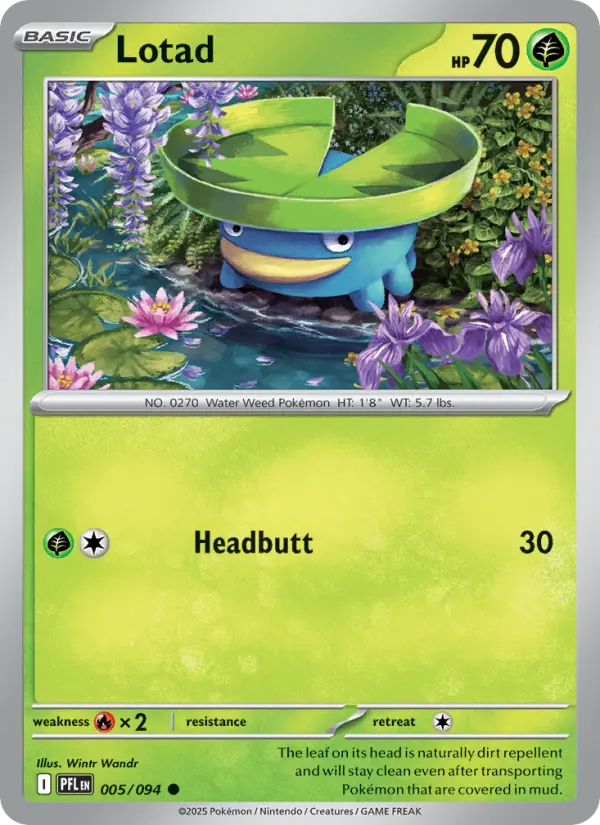 Card image of Lotad