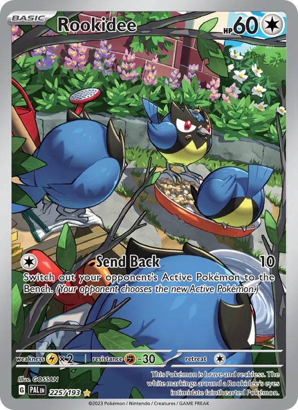 Card image of Rookidee