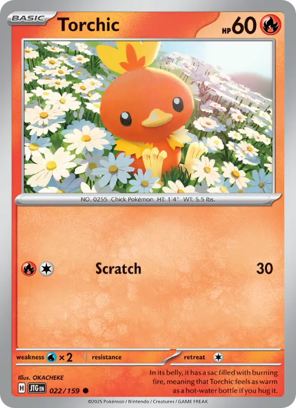 Card image of Torchic
