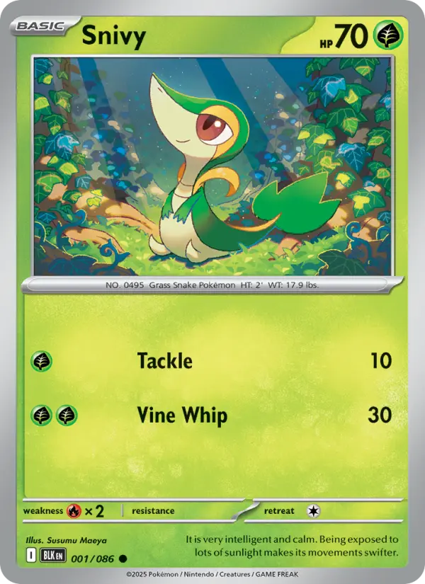 Card image of Snivy