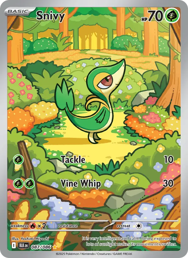 Card image of Snivy