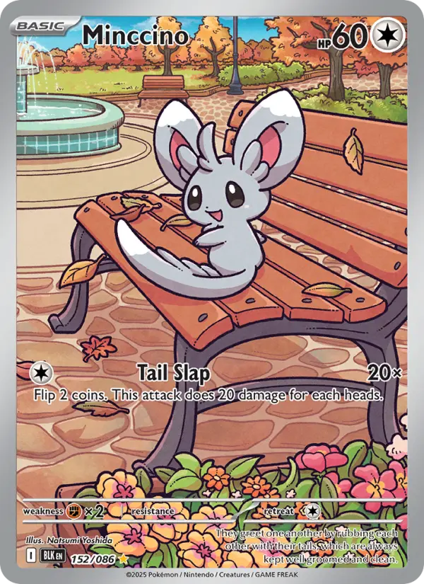 Card image of Minccino