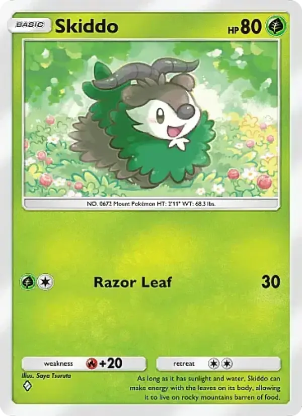 Card image of Skiddo