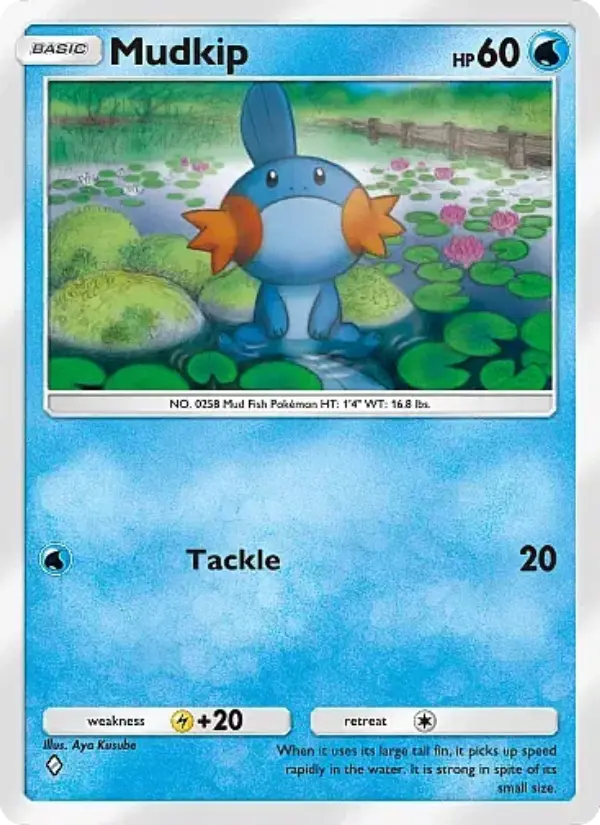 Card image of Mudkip
